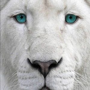 Meet your Posher, Alejandra